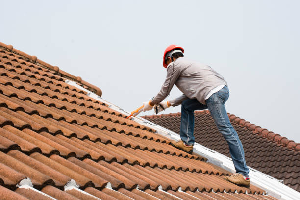Best Metal Roofing Installation  in Thomasboro, IL