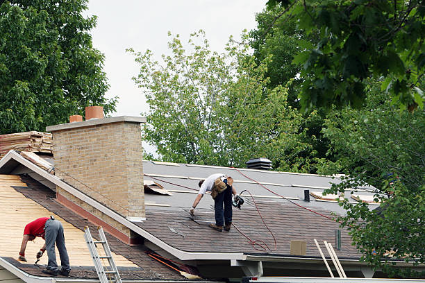 Steel Roofing in Thomasboro, IL