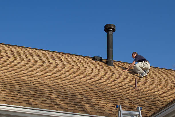 Best Skylight Installation and Repair  in Thomasboro, IL